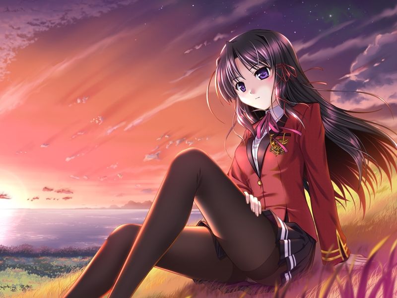 FORTUNE ARTERIAL