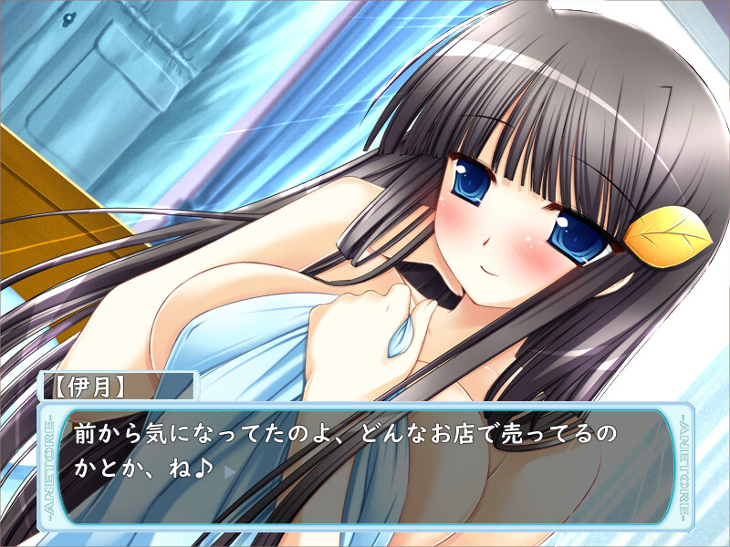 아네토레! ～누나와 H한 트레이닝～