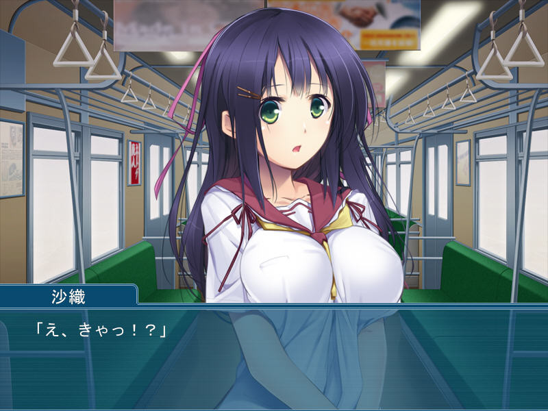 세메라레 ～여동생으로 느끼다니, 오빠는 변태네～