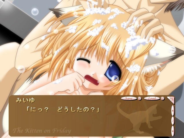 금요일의 코네코