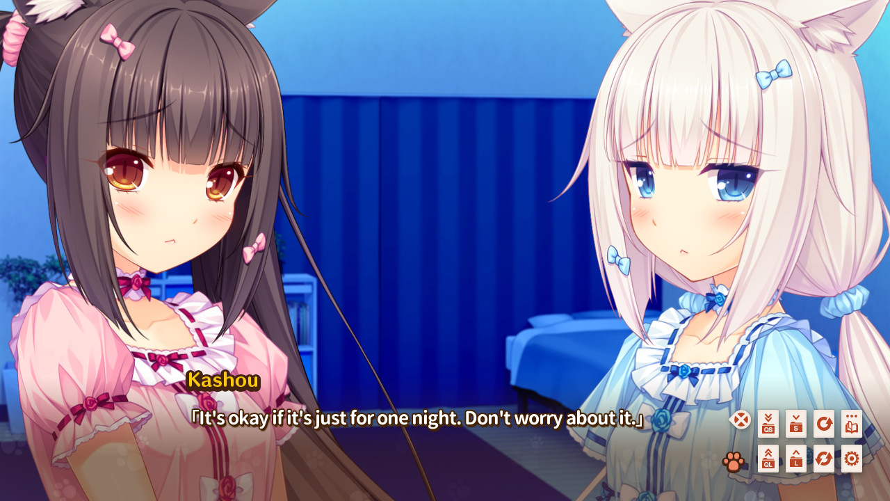 네코파라 Vol.1 솔레이유 개점했습니다!