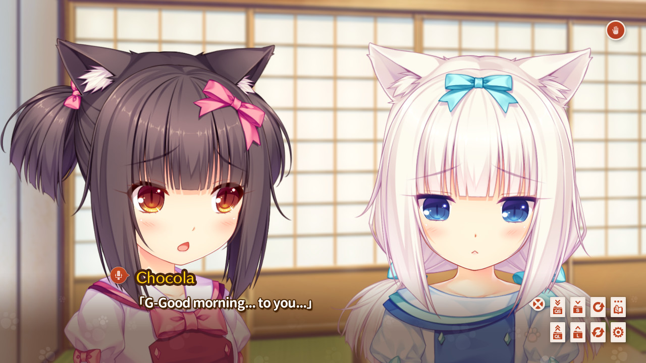 네코파라 Extra 아기 고양이의 날의 약속