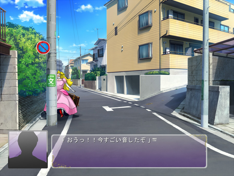 프린세스 비치! ~무지한 폭유 공주님을 속여서 종부 홈스테이~