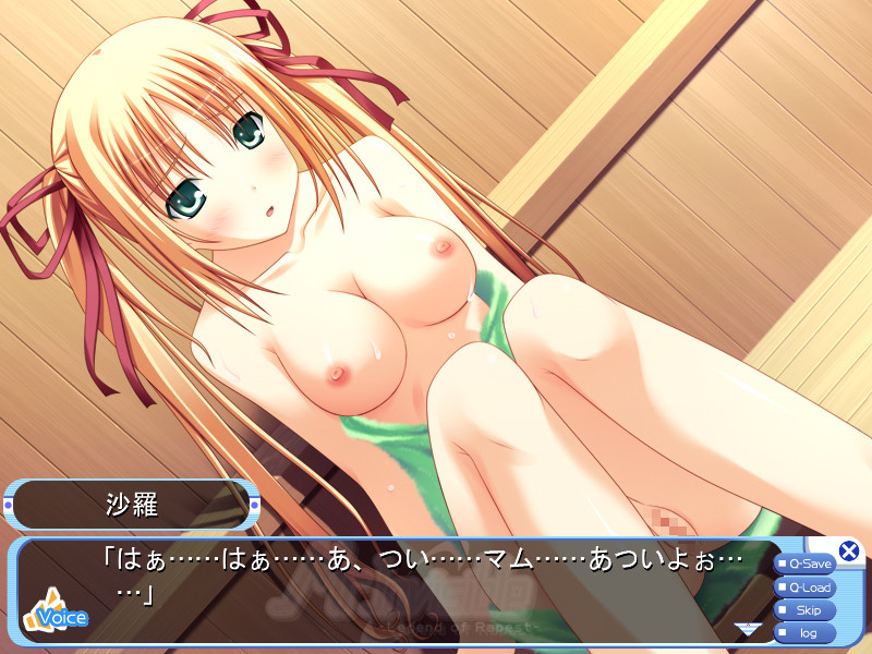 Mr.Invisible -Legend of Rapest-