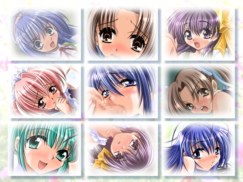 와츠키야의 폰토 CD 004