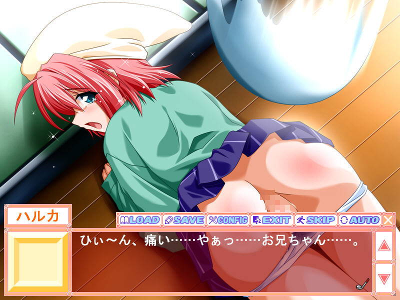 하지요메 어린 아내 응징 어드벤처