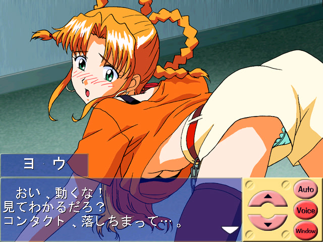 나츠이로 셀레브레이션