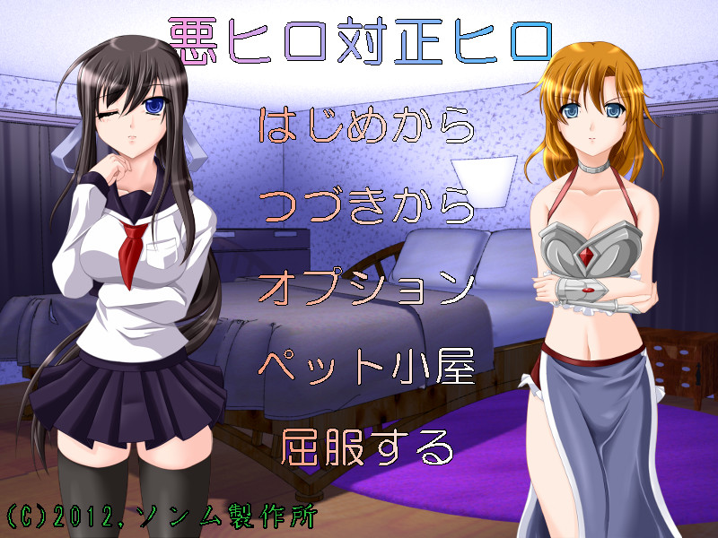 아쿠히로 대 세이히로