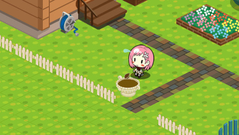 코이바나 데이즈