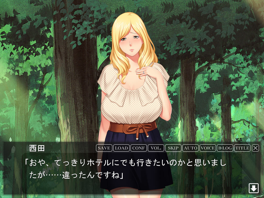 낮의 단치음처 3 ～남편에게는 말할 수 없는 비밀의 방문판매～