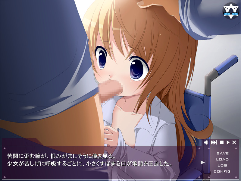 악마의 하수인～20인 연속 강간～