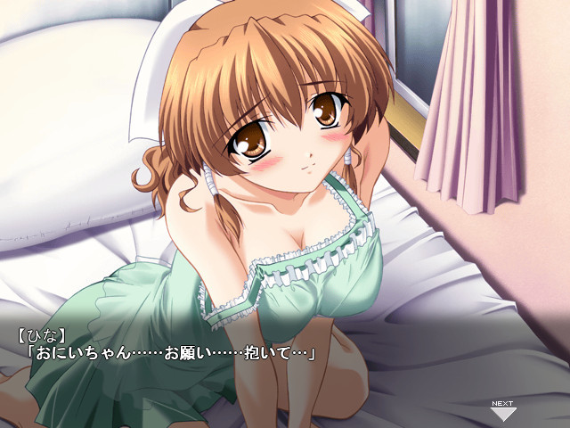 도키도키 시스터 파라다이스