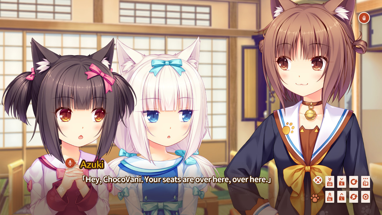 네코파라 Extra 아기 고양이의 날의 약속