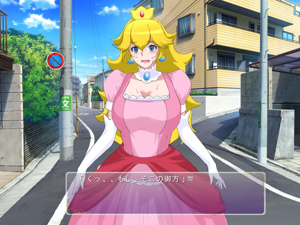 프린세스 비치! ~무지한 폭유 공주님을 속여서 종부 홈스테이~