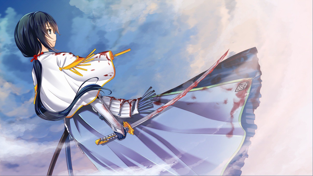 센고쿠히메3～천하를 가르는 빛과 그림자～