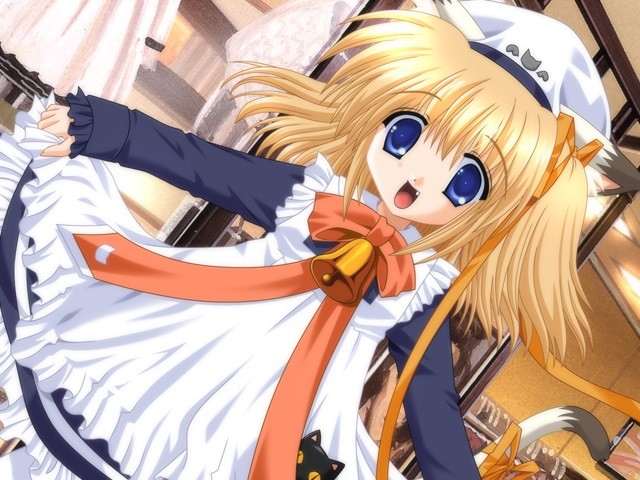 금요일의 코네코