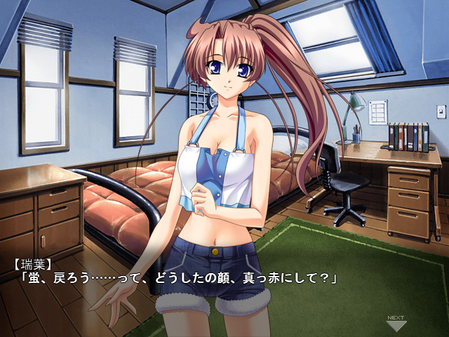 도키도키 시스터 파라다이스