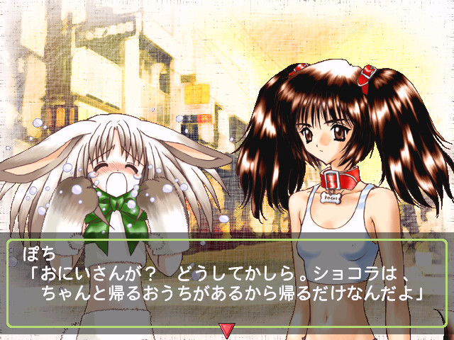 애니멀・마그네티즘～포치의 가장 좋아하는 것～