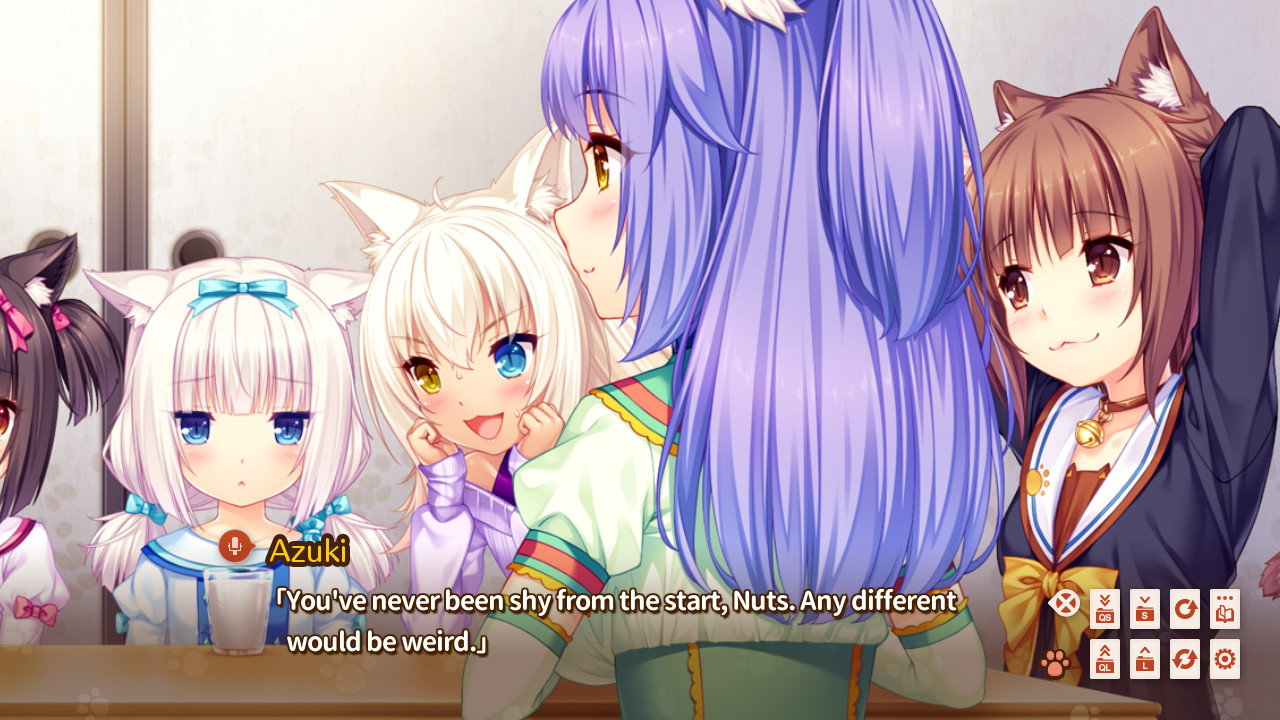 네코파라 Extra 아기 고양이의 날의 약속