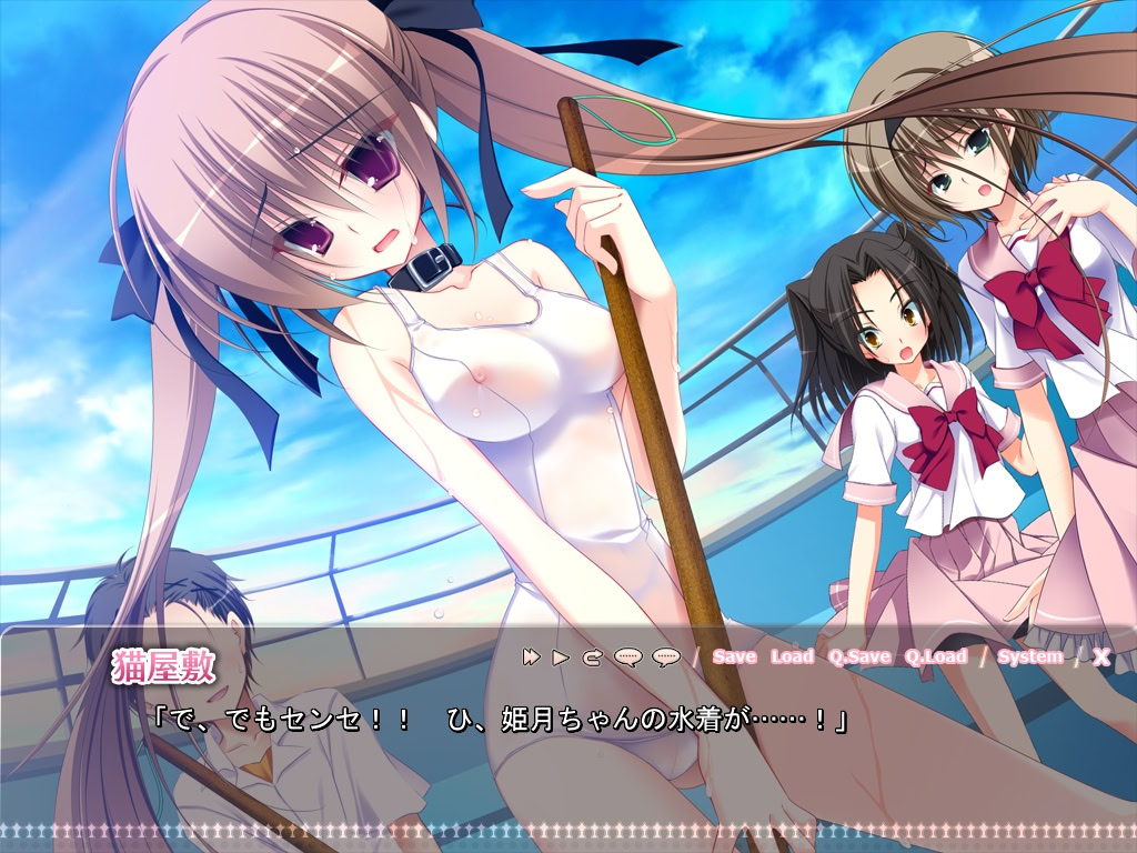 여동생 조교 일기~이런 츤데레가 나의 여동생인 것은 아니다!~