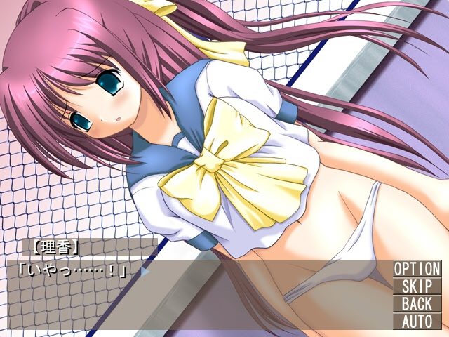 네토라레 미니 노벨 2