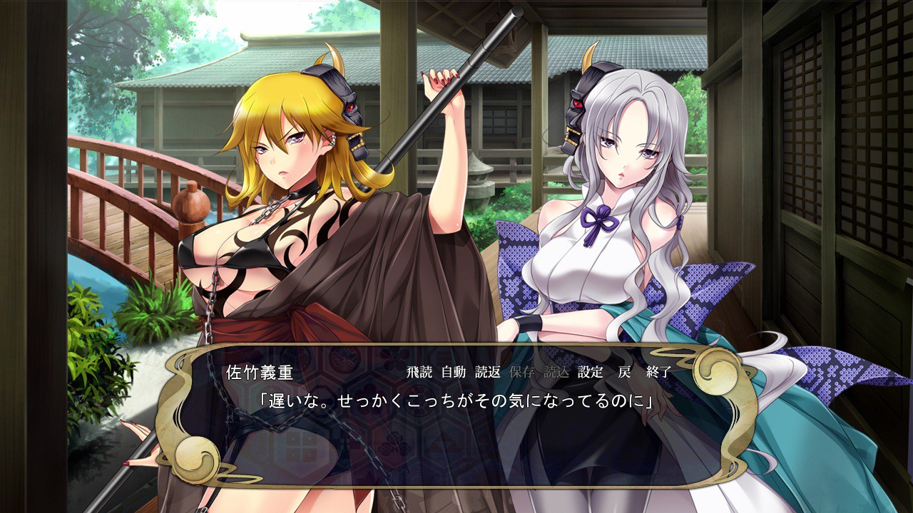 센고쿠히메3～천하를 가르는 빛과 그림자～