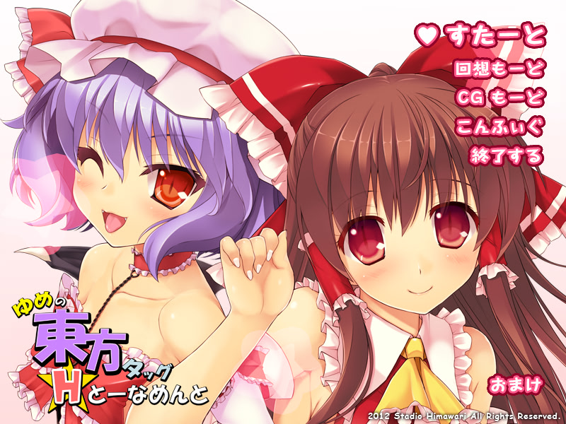 유메의 동방 태그 H 토너먼트