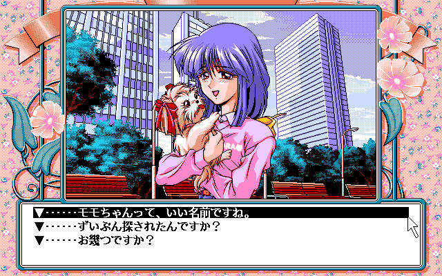 캰캰 바니 리미티드 5 1/2