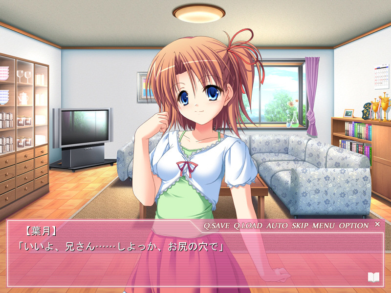 HSK ~H인 여동생과 툰한 소꿉친구에 끼워 ADV~