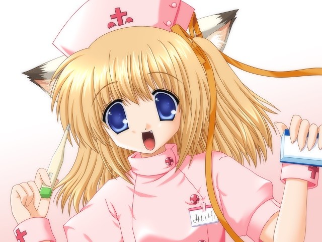 금요일의 코네코