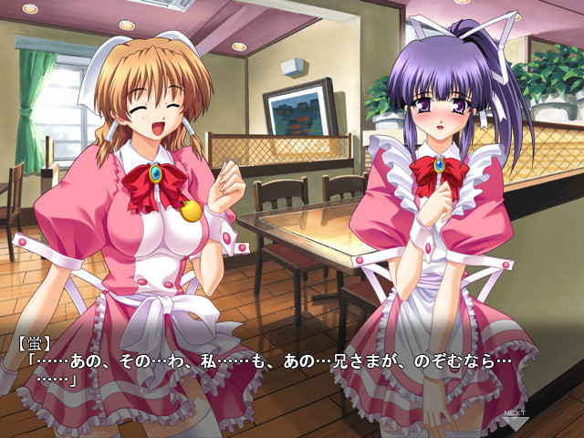 도키도키 시스터 파라다이스