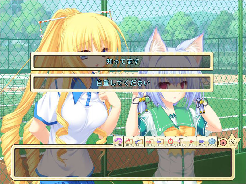 네코☆코이! ～네코가미님과 네코미미의 저주～