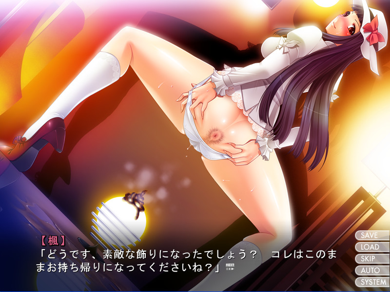 변태성벽 도미넌스 - Femdom of Paraphilia