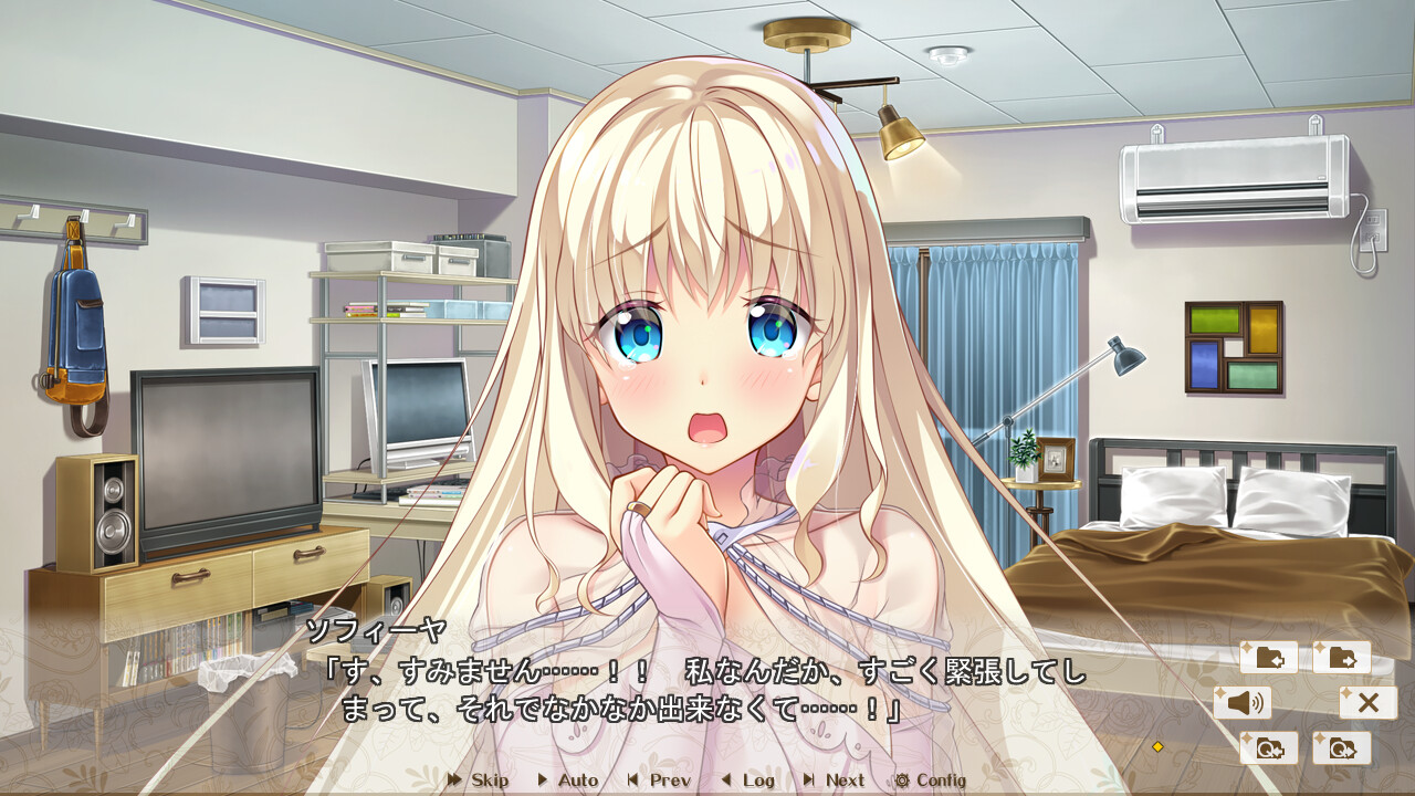 하렘이 아니라고 킹덤 히카리＆소피야＆키키 편