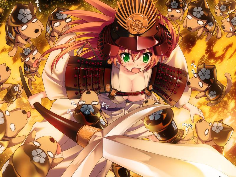 오우카 센고쿠! ~노부나가 짱의 사랑과 야망!?~