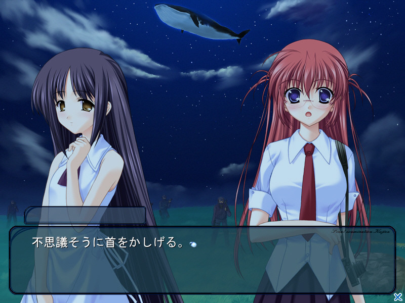 최종시험 쿠지라