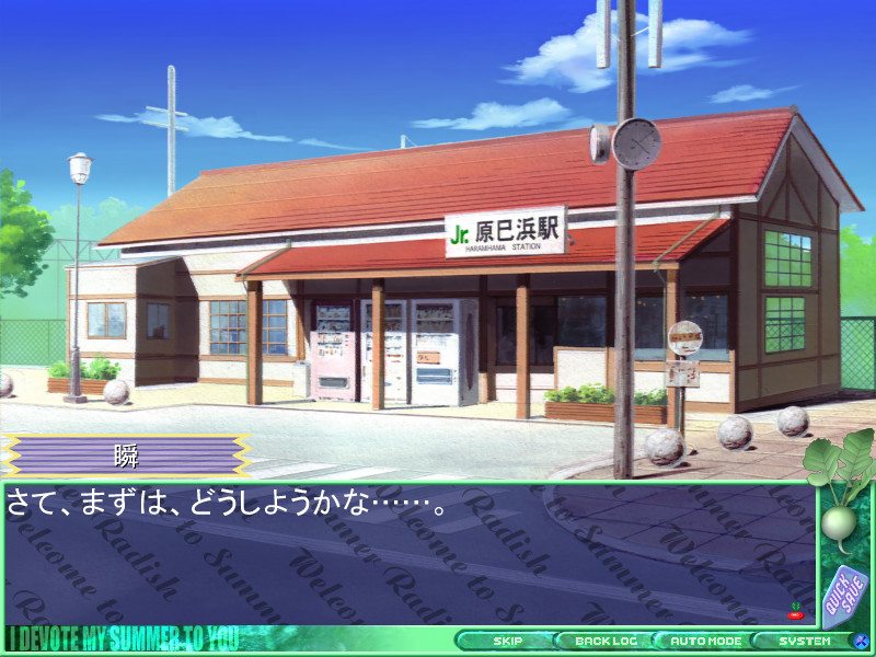 Summer 래디시 베케이션!!